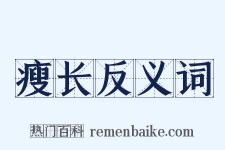 瘦长反义词是什么意思的图片